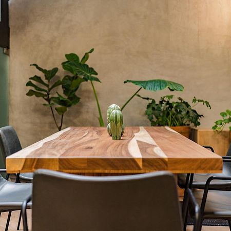 Escandon Suites By Escajal Rooms 墨西哥城 外观 照片